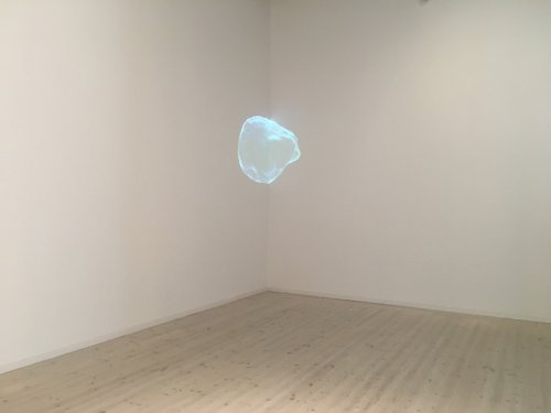 E.I, Animaleques -Across Species, Bildmuseet 2019