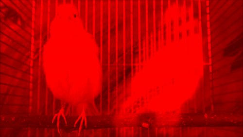 Annika Larsson- Strange Powers (2023)