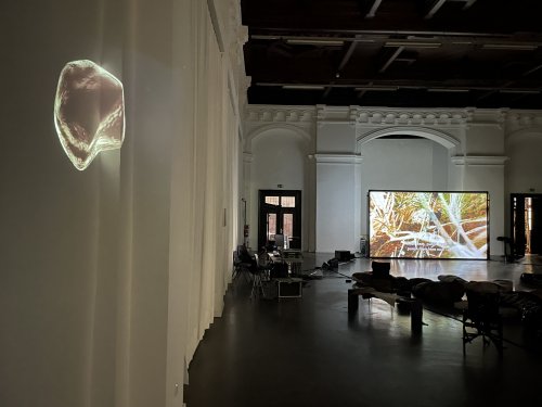 Installation E.I The Bloib and Screening: Karrabing Film Collective, Wutharr, Saltwater Dreams, 2016