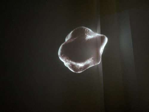 Annika Larsson, E.I. The Blob, Installation