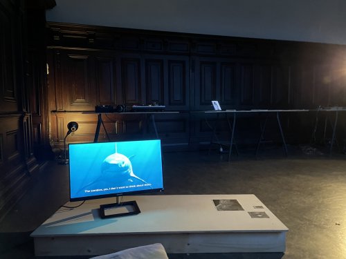 Annika Larsson, Fear of Flying (2019), Installation view Non-knowledge, Laughter & The Moving Image Archive