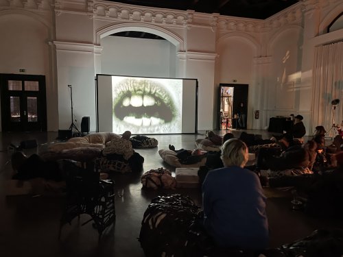 Steve Reinke / James Richards, When We Were Monsters (2020) in dialogue with the films: Steina Vasulka, “Violin Power” (1970-1978) and Pat Hearn and Shelley Lake, “Seizure” (1980)