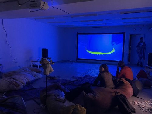 Screening of UNTITLED SEQUENCE OF GAPS by Vika Kirchenbauer