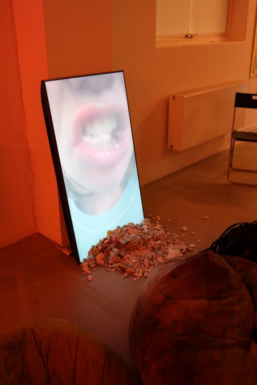 Elina Birkenhag, Chewing, video, Pulps, floor installation