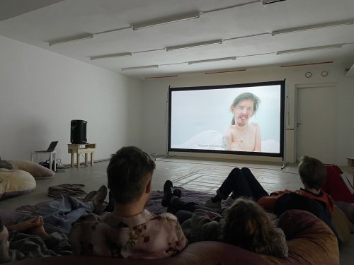 Screening andtalk by Adina Pintile