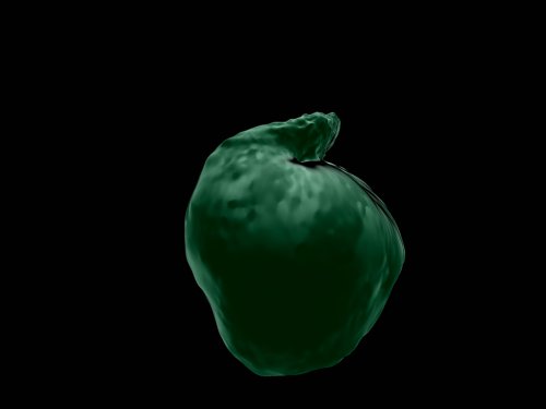 (E.I.) The blob developed together with Kiona Niehaus