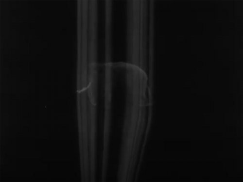 Jean Painleve 1936 The Fourth Dimension