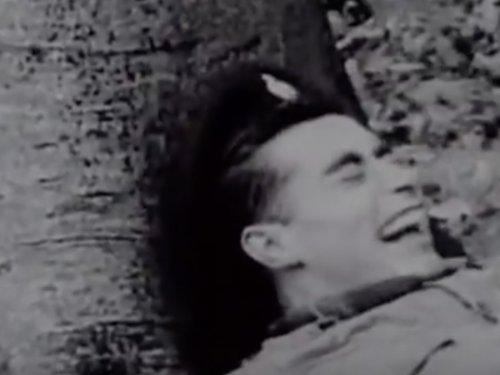Experiment with LSD and British soldiers