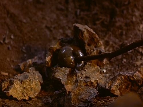 The Blob, 1958 (Irvin S. Yeaworth junior, Russell S. Doughte)