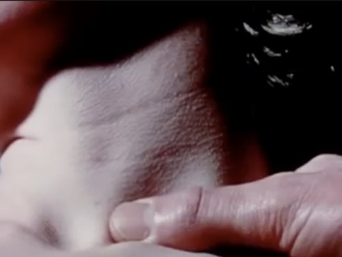 Prologue - Technologies of Laughter, 2019 (Annika Larsson) extract